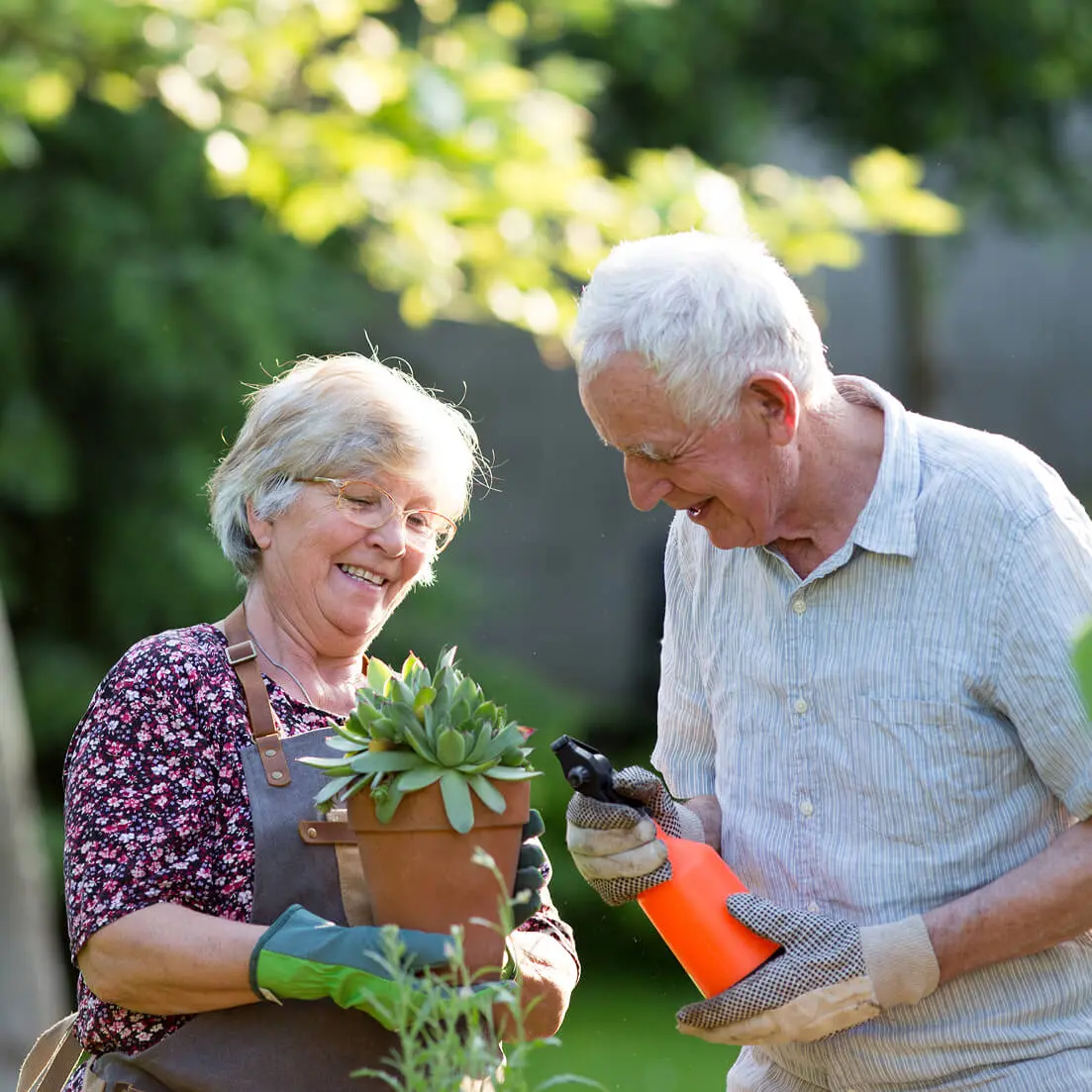 AdobeStock 272480008 1