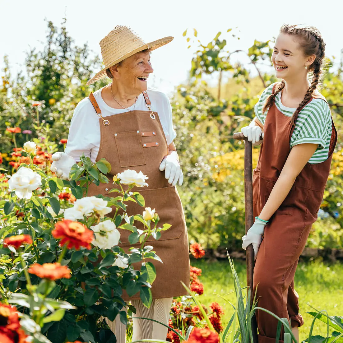 AdobeStock 593631126 1