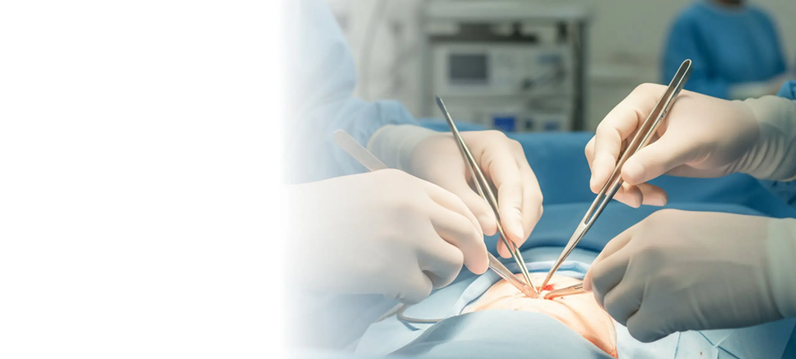 image 23207868178767