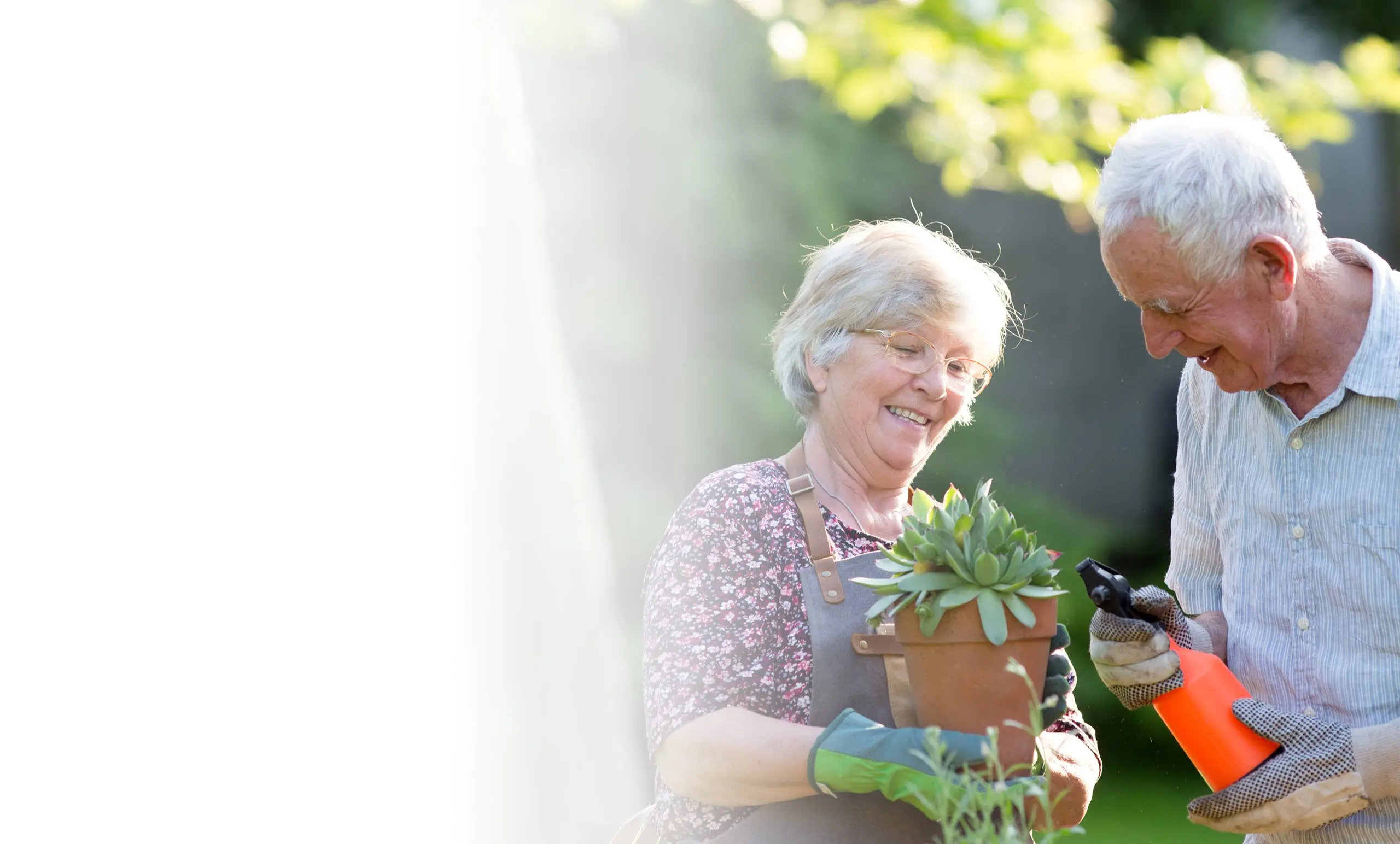 image 23197024101441