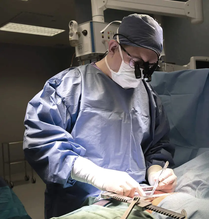 image 23208697455689